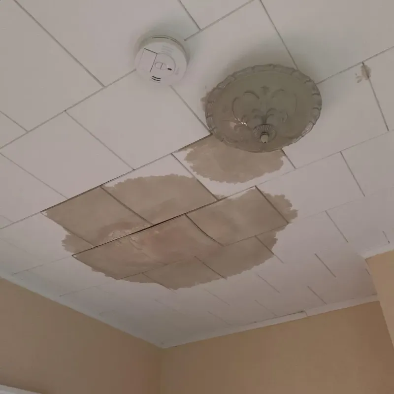 Ceiling Water Damage Repair in Warrensburg, NY