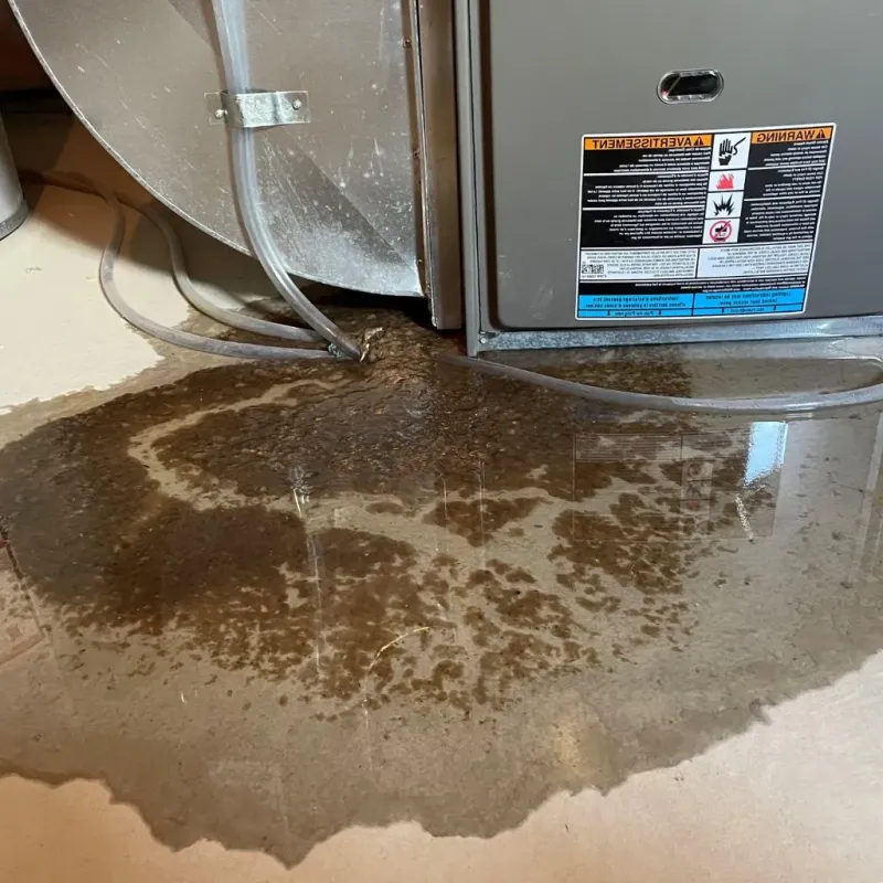 Pipe Burst and Leak Restoration in Warrensburg, NY